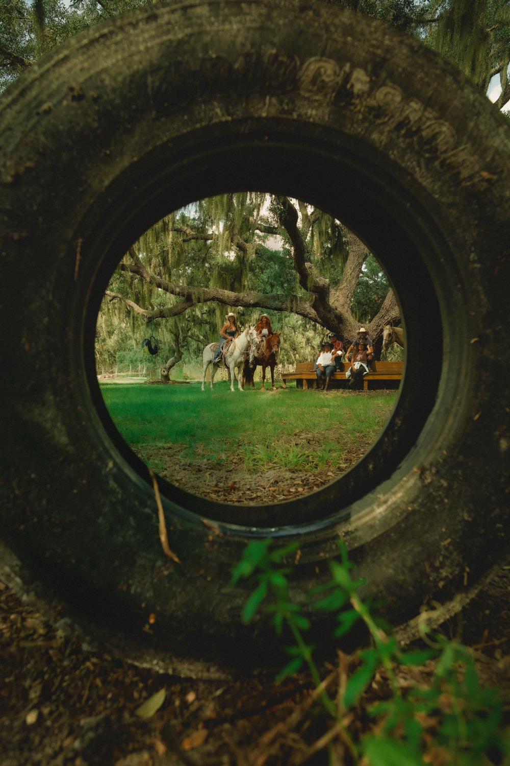 The farm seen through a tire, shot by Dee